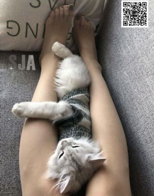 黑色月光粤语版电视剧在线观看