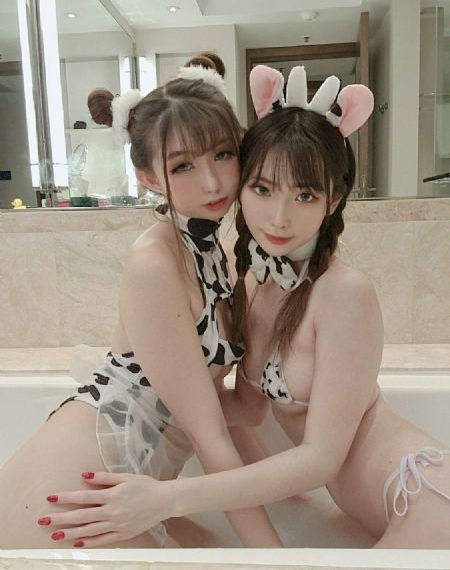 最强大脑第十一季