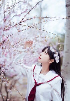 宫阙相思梦短剧免费观看