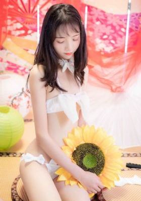 第十九年短剧免费观看